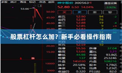 股票杠杆怎么加？新手必看操作指南